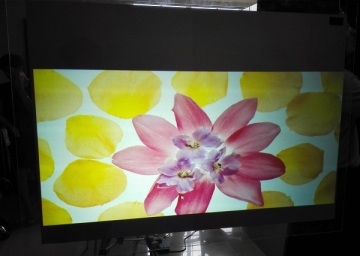 Light Gray Rear Projection Film, Rear Projection Screen Film, Gray Projection Film