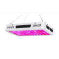 LED 300W crescer claro espectro crescendo