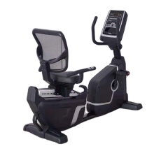 Spin Cycle Cardio Equipment: Recumbent Exercise Bikes