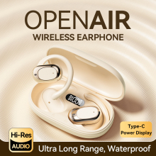 Ear hook design tws earbuds