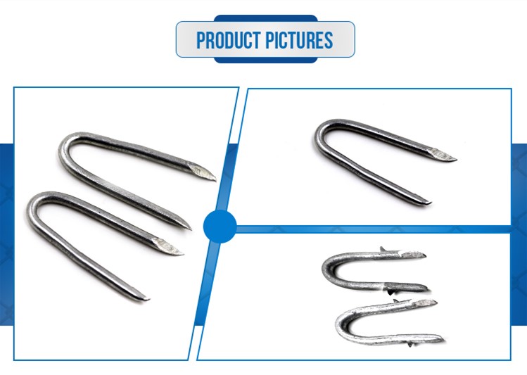 u fence staple/u shaped nail