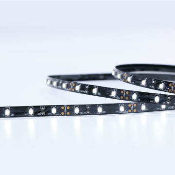 Tape 300 LED 3528 SMD Koudwit strip