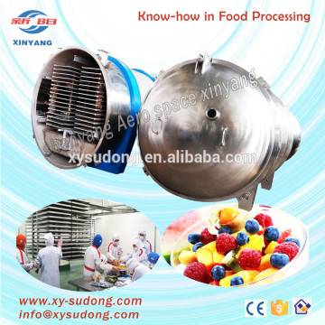 High quality fruit freeze drying machine-vacuum freeze drying fruit machine of freeze drying machine LG200