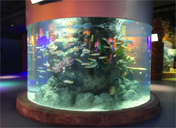 High transmission large cylinder aquarium project