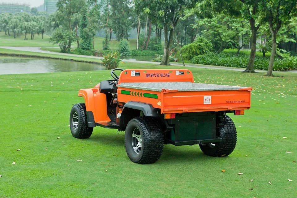 Impressive Design 4 Wheeler Electric UTV with Ce Certification