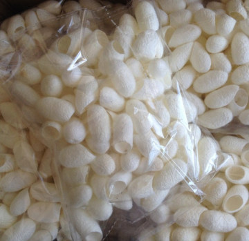 Mulberry Silk Cocoons, ? Natural Silk Cocoon Ball Beatuy Cocoon