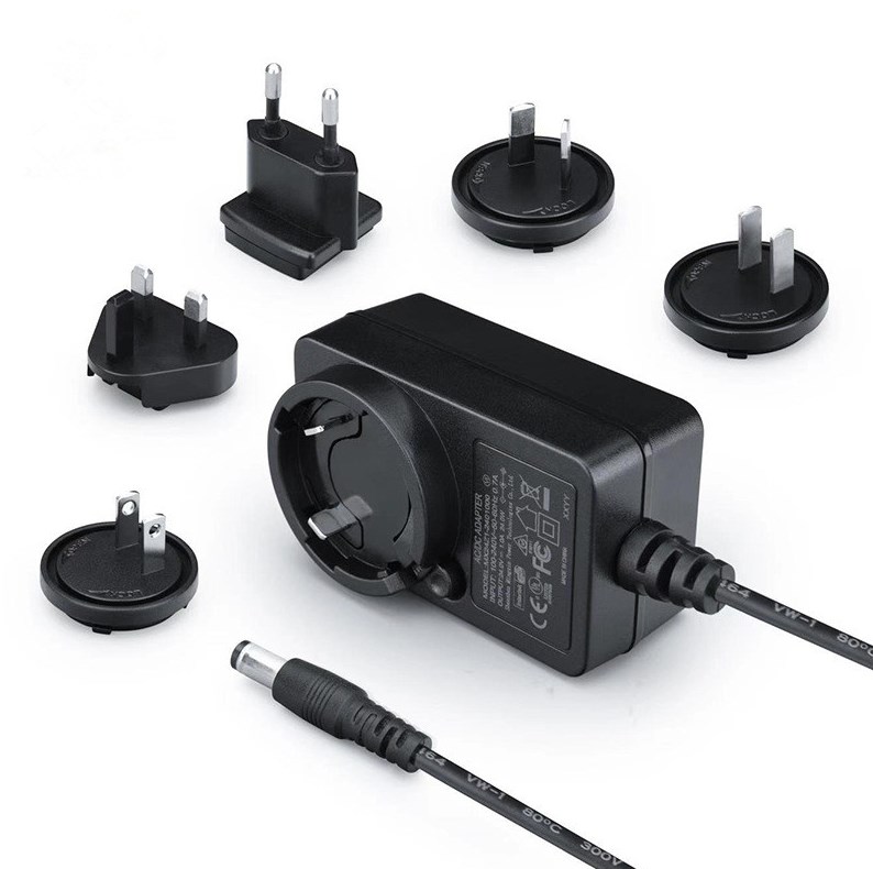 24V 1A 12V 2A Interchangeable Plug Power Adapter