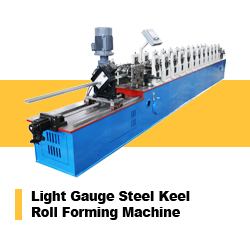 Cangzhou customized perforated metal door roller shutter roll forming machine