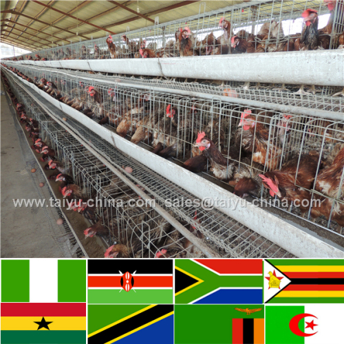 Trade assurance NO.1 Quality strong U type frame chicken farm building cheap chicken coops commercial chicken house