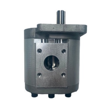 Single Gear Pump CBK1016