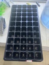 rigid HIPS FILM fot plants tray