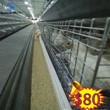 used poultry battery cages good sale