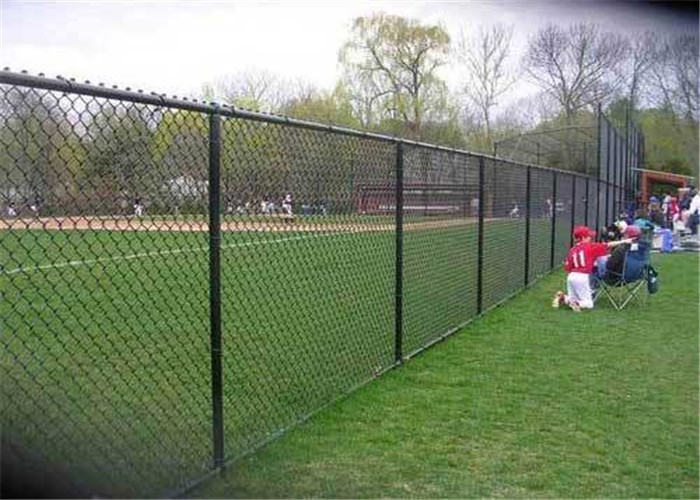 chain-link-fence-grassland