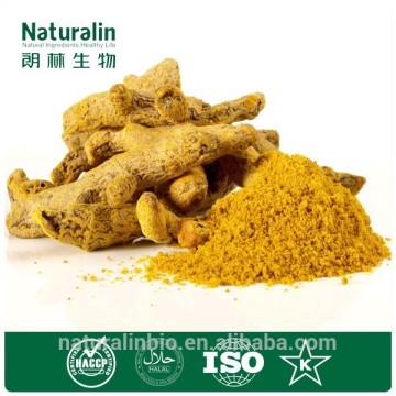 100% Water Souble Ginger Extract For Beverage