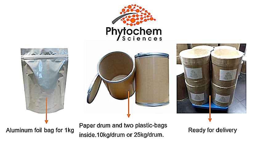 Export Dry King Oyster Mushroom Extract Powder 30% Polysaccharides