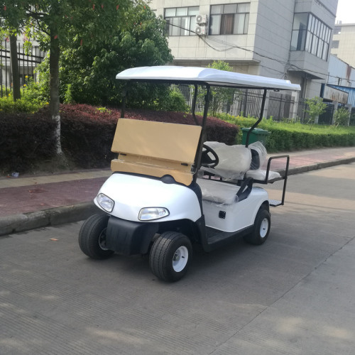 I piccoli carrelli da golf con batteria a buon mercato