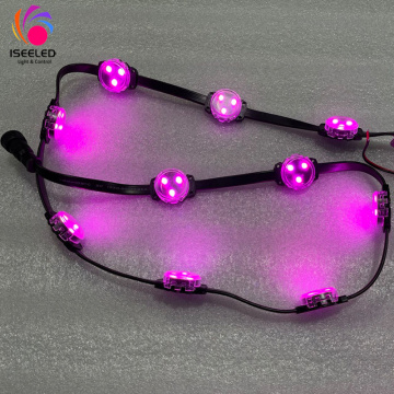 DMX512 Programmable Colorful LED Dot String Light