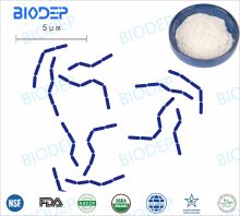 Kefir Isolates and Exopolysaccharide Probiotics LPC