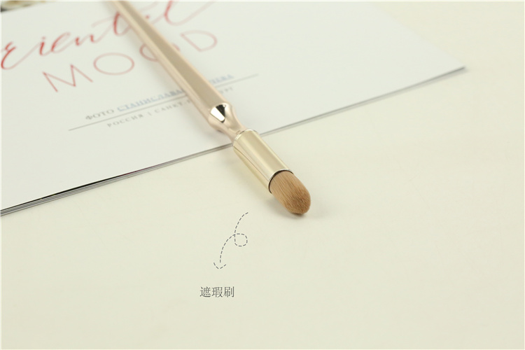 9pcs Golden Makeup Bush Set Portable Custom makeup brushes kit