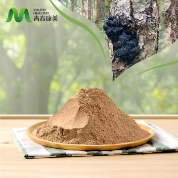 Chaga Mushroom Extract Powder Kilo