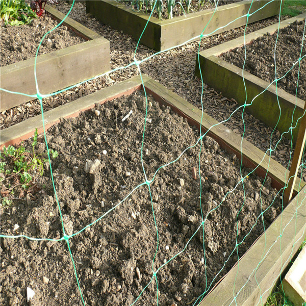 Filet de treillis agricole Agricultural Trellis Net