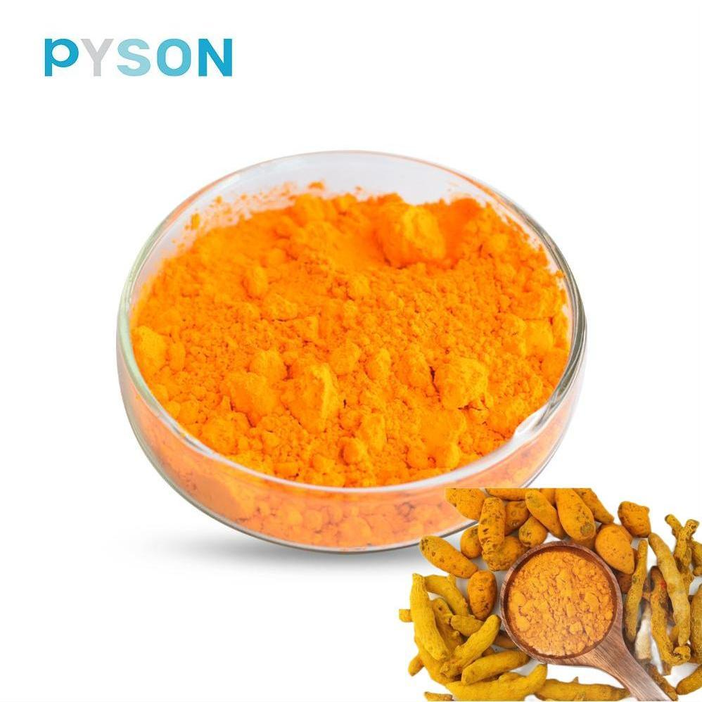 turmeric extract supplement