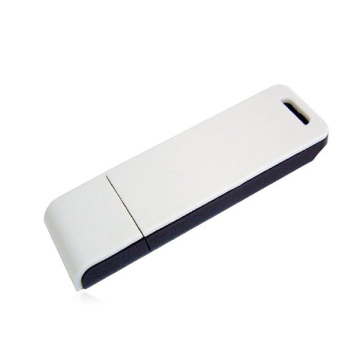 Silver Plastic USB Flash Stick