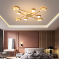 LEDER Flush Vanity Ceiling Lightings