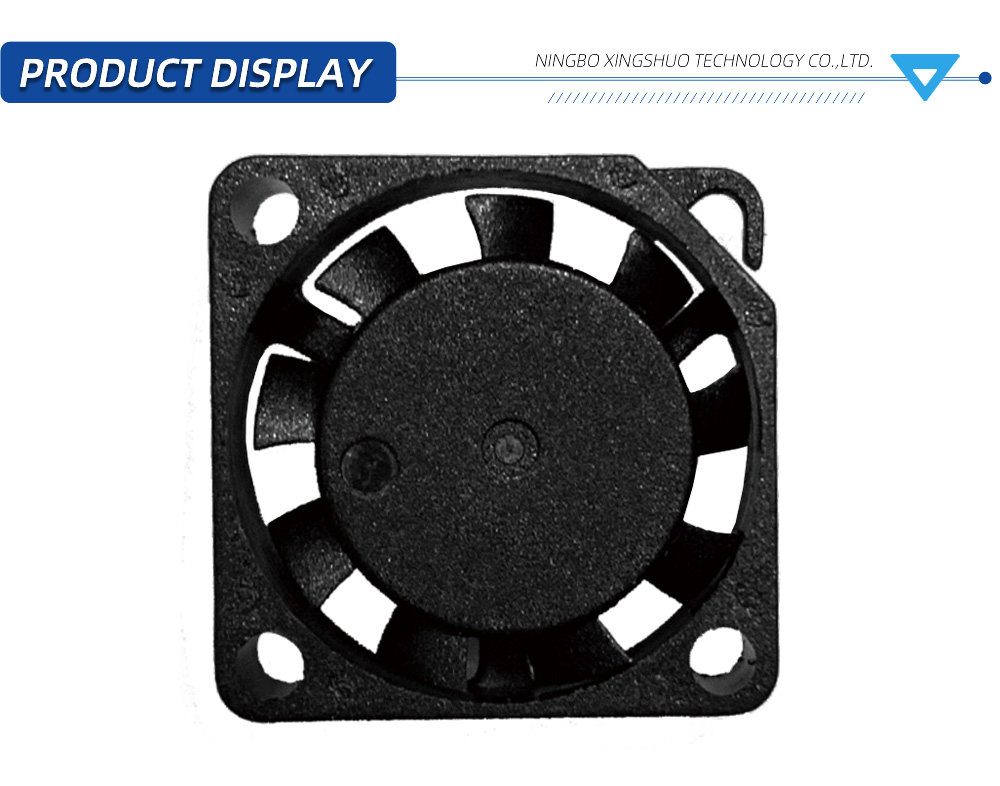 2549-เอ็กซ์ 2006-X