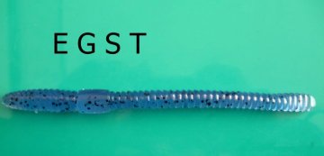 EGST-XINHE soft plastic fishing lures-worm baits