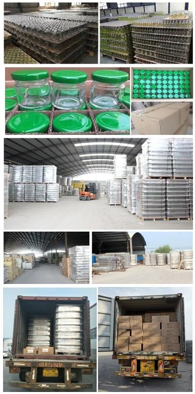 Manufacturers Wholesale Various Styles of Glass Bottles with Stainless Steel Pump