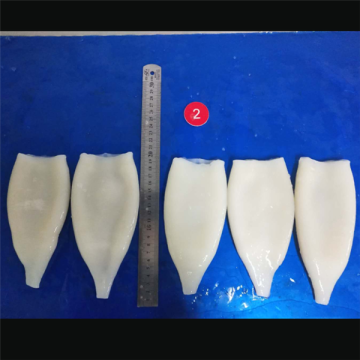 Frozen Squid Tubes Todarodes Pacificus