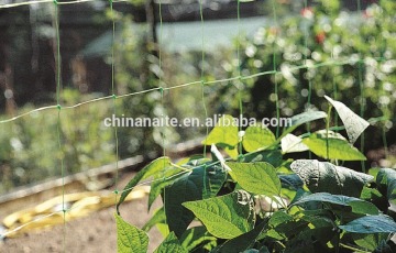 Plastic trellis netting
