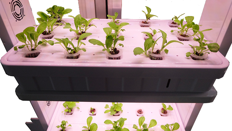 Simple Led Grow Light Hydroponic Systems Grow System