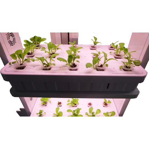 Simple Led Grow Light Hydroponic Systems Grow System