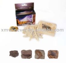 dig it out Ocean animal Fossil toys,Excavation kit toy, Discover kit