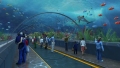 100% πρώτη ύλη Lucite Acrylic Aquarium Tunnel