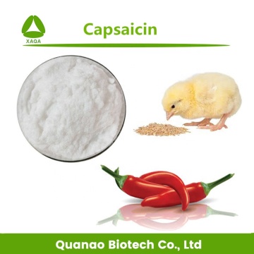 Medicine Use Chili Pepper Extract Capsaicin 95%-99% Powder