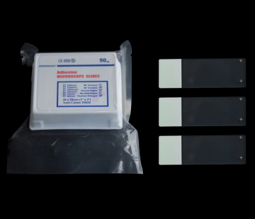 Prepared Microscope Adhesive Slides