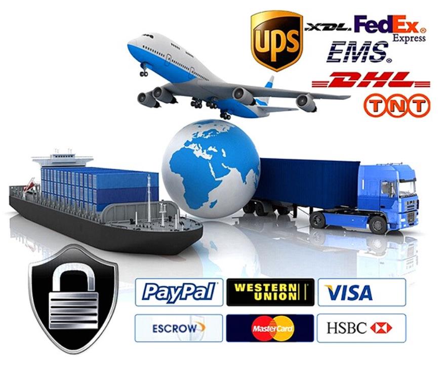 Pengiriman Shipping