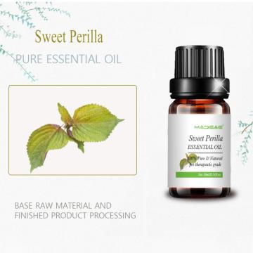 Therapeutic Grade Water Soluble Sweet Perilla Essential Oil