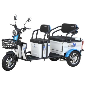 tricycle récréatif extérieur 48v650w à 3 roues pour passagers