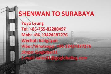 Zhongshan Shenwan Sea Freight to Indonesia Surabaya