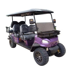 6 Seater 4-Wheel Drive Street Legal Golf Carts Under $1000