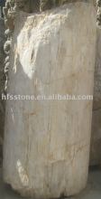Wood Petrifaction/wood petrifaction/wood fossil  craft