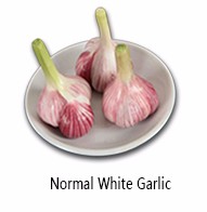 Vacuum packed peeled garlic cloves