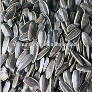 hulled sunflower seeds