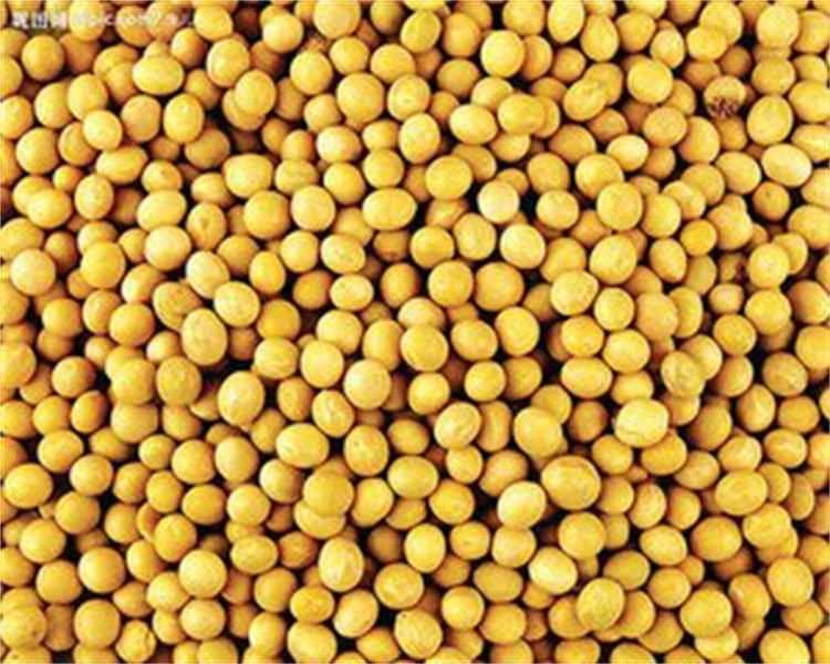 Multi-function hydroponic growing systems greenhouse