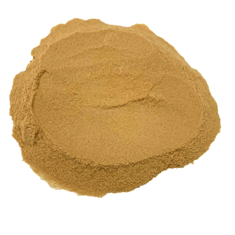 Factory Price Yeast Extract Powder R5297 for Soy Sauce