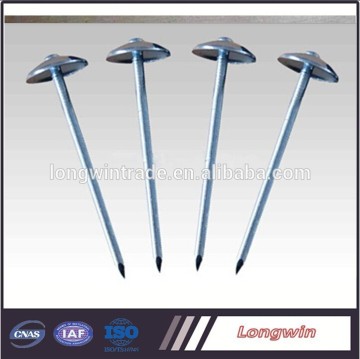 fasteners Nail supplies galvanized roof nails for construction